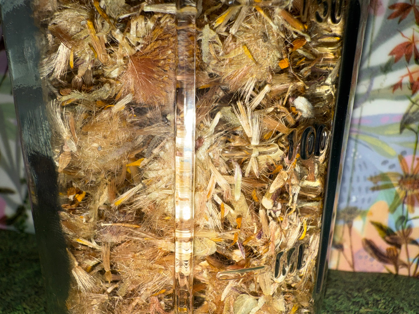 Dried Arnica Flowers – 8oz Reusable Glass Jar